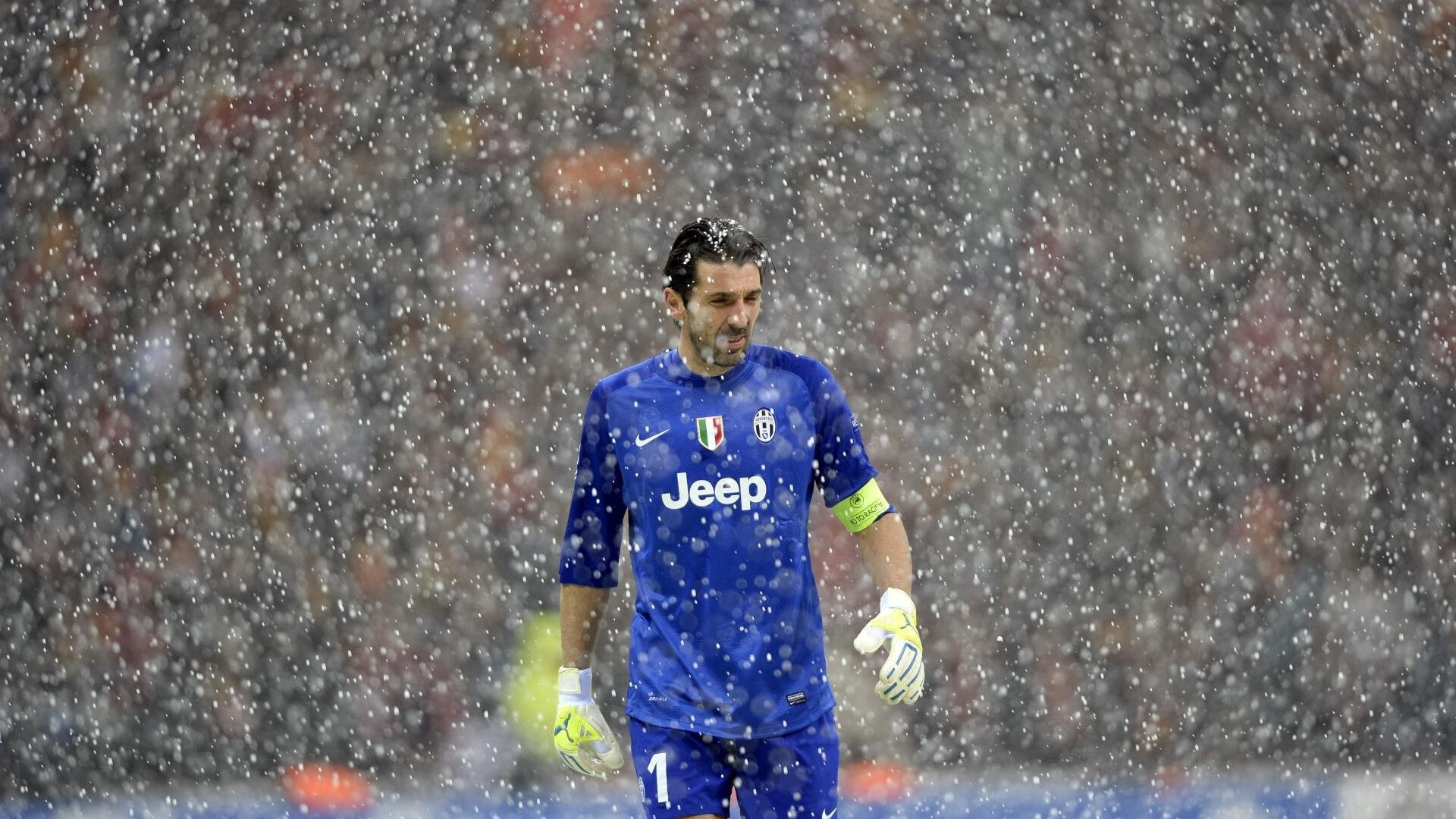 爱游戏app下载-格雷琴·沃尔什完美触壁问鼎冠军，格雷沃尔特